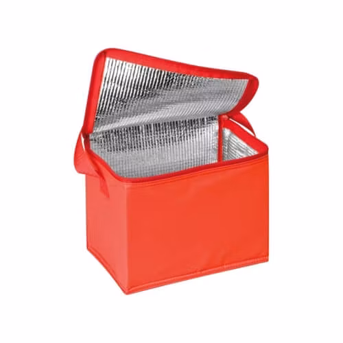 Leak Proof Thermal Insulated Lunch Cooler Bag for Picnic
